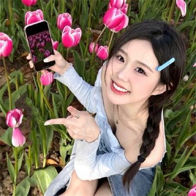 伊塞克湖的猩红色罂粟花